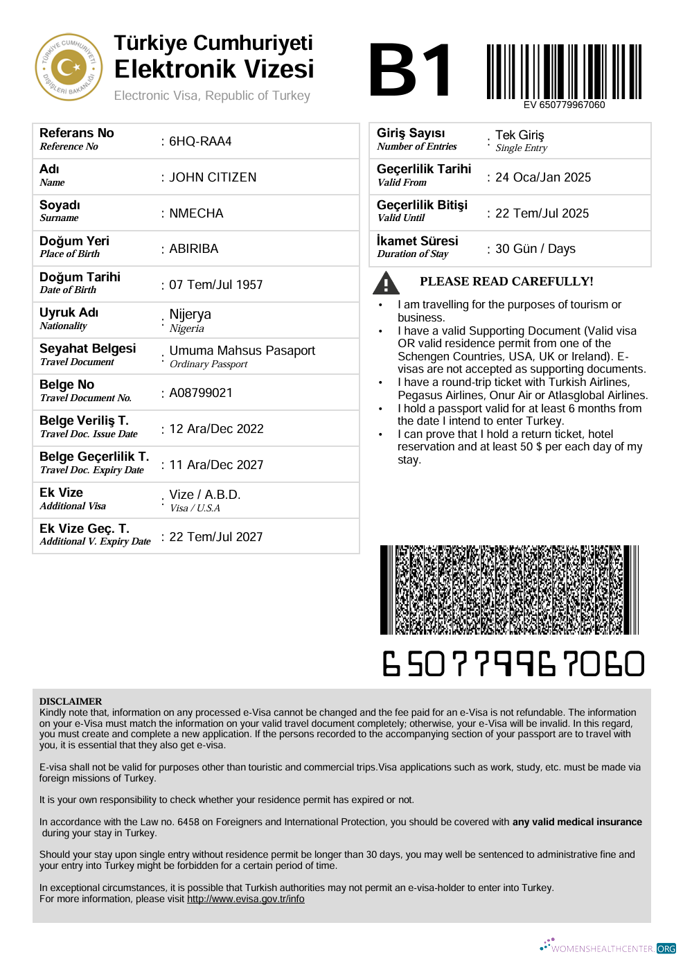 Download Turkey e visa template in Word and PDF formats Photoshop template